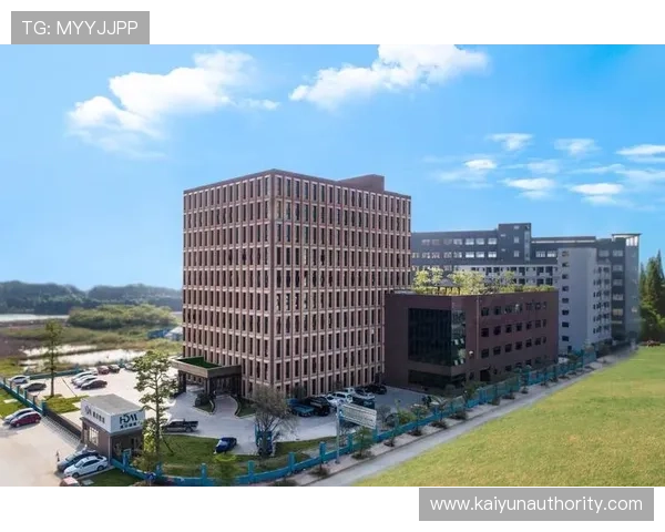 开云手机的技术支持与售后服务保障体系介绍